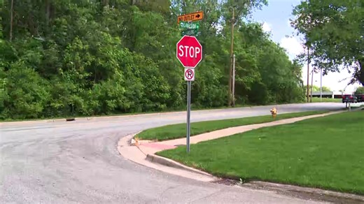 Man dies in East Grand Rapids carpentry accident