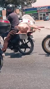 #Cancun| “Me amarraron como Puerco” 🐽 | Noti-Ulin