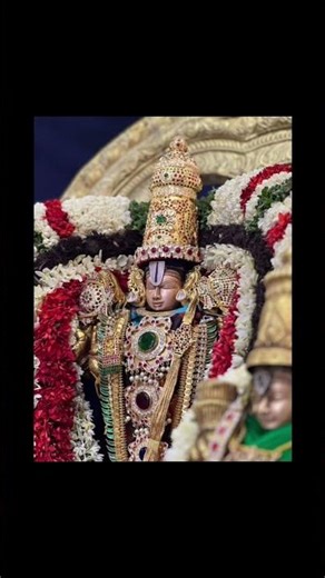 Om namo venkatesa #tirumala #govindagovinda #tirumalatirupati #tirupati