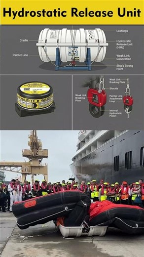 Hydrostatic Release Unit (HRU) Explained: Lifeboat Safety System 🚢⚓