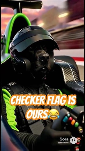 “DOGS WIN F1! KODA&LOKI TAKES THE CHECKERED FLAG 🐕🏁🏎️”#DogF1 #KodaRacing #F1Win #PawPedalChamp