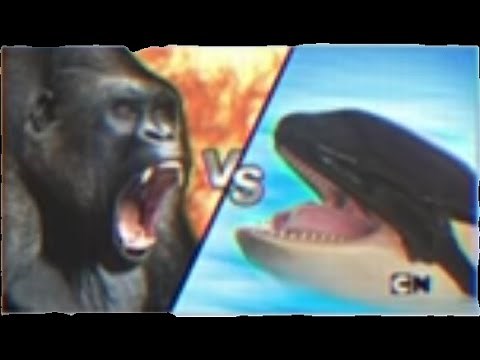 Gorilla vs Killer Whale