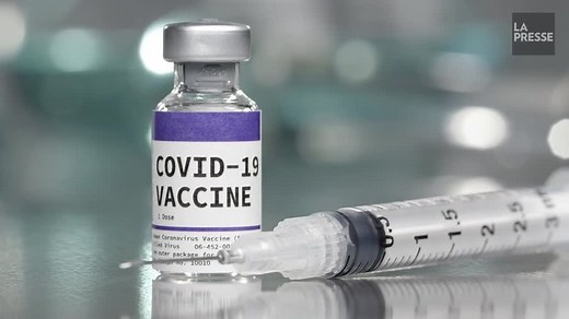 Le système immunitaire et la COVID-19 : comment ça marche