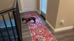 Beeiva Floral Washable Runners for Hallways Non Slip, 2x8 Red Long Hallway Runner Rugs with Rubber Backing, Ultra Thin Christmas Vintage Kitchen Rugs Non Skid for Entryway Bathoom (Red,2'x8')