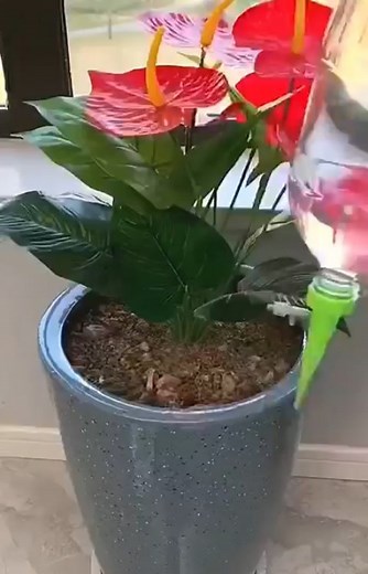 Kicklo on Instagram: "ᒪIᑎK Iᑎ ᗷIO @mysterygadgets Automatic Plant Water Dripper Automatic Garden Watering System Dripper Spike Link https://www.mysterygadgets.com/products/automatic-plant-water-dripper?ref=mgig #headnozzle #gardening #gardenlove #gardeninglove #gardendecor #gardenhose #ringsprayer #sprayer #waterpark #waterhose #gardeninglife #gardenwater #grafting #shears #graftingplants"