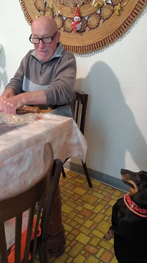 177K views · 7.4K reactions | Nagypapának nincs párja, legfeljebb a nagymama!殺❤️ | LARA és TIGI a két duzzadt virsli | Facebook