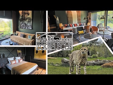 ZOO DE LA FLECHE - SAFARI SUITE DELUXE GUEPARDS - DORMIR AVEC LES ANIMAUX