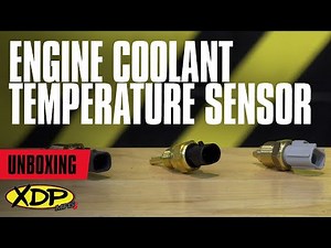 XDP Engine Coolant Temperatures Sensors | XDP Unboxed