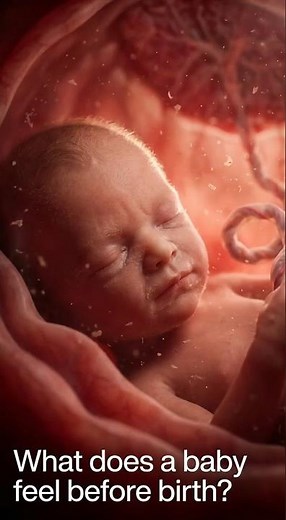 What Does a Baby Feel Inside the Womb? 👶❤️