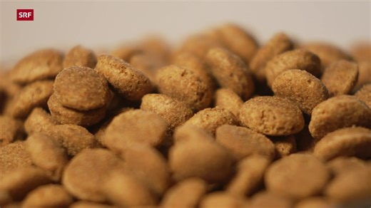 Hundefutter im Test: Nahrhaftes für wenig Geld