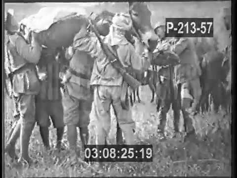 ON THE RIF FRONT, MOROCCO - 1925