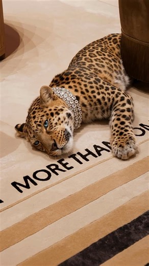 MORE THAN HOME on Instagram: "NAHATÉ: home for the wild heart and expensive taste. 📍NAHATÉ Dubai Gate Village 8, DIFC, Dubai, United Arab Emirates #welcometoNahaté #morethanhome #panther"