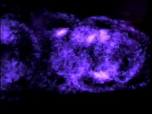 Crystal Dynamics / Eidos Interactive / Disney Interactive (2000)