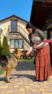 3 Beauties and Rocky the Dog #cooking #food #foodie #foodporn #instafood #foodphotography #foodblogger #foodlover #foodstagram #homemade #yummy #delicious #chef #dinner #cook #healthyfood #tasty #instagood #kitchen #homecooking #foodies #lunch #love #foodgasm #baking #cookingathome #foodpics #eat #recipes #healthy | Food Daily