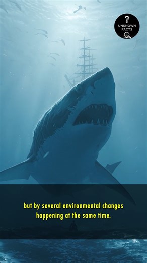52K views · 396 reactions | How Did The Megalodon Get Extinct? | Unknown Facts | Facebook