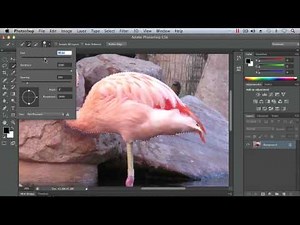 Using the Quick Selection Tool - Adobe Photoshop CS6 Tutorial