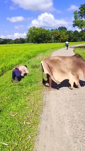 #job #chating #story #spanish #book | Satish Kumar