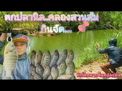Tilapia fishing...in the orange orchard canal...they're biting well. Recommended spot, rig setup,...