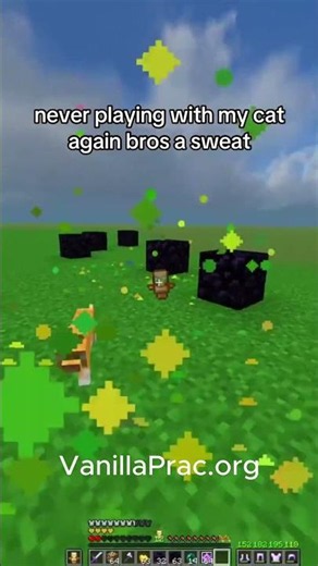 My Cat Is To Good.. | IP: vanillaprac.org | Port: 25565 | #crystalpvp #cpvp #Minecraft #mc