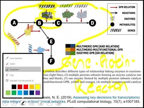 Lecture 6.2 - COBRA Toolbox | Genome Scale Metabolic Models
