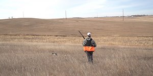 The importance of firearm safety and hunter education requirements