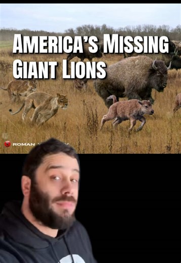 What happened to America’s giant lion, Panthera atrox #evolution #lion #animals #learnontiktok #history