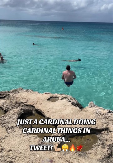 Just a Cardinal doing Cardinal things in Aruba… LET’S FLY! TWEET! 💪🏼😤🔥🐦‍🔥 #TheCardinalNickThompson #ProWrestling #WWE #AEW #fyp