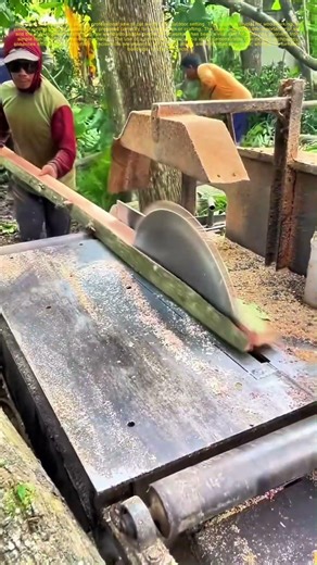 Cutting Through the Basics: How Precision Saws Shape Woodworking