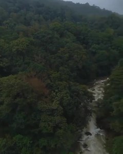 Sakleshpura ❤️ Travel related page. Follow/ share/ tag ur friends on our page. U will never be disappointed 😍💚💚💚👇 @planyourtripholidays Cal /Wtsapp : 9945842531 #kalasa#balalarayanadurga#mudigere#chikmagalur#waterfalls#hillstation#incredibleindia#travelindia#indiatravelgram#rastahomestaysakleshpura#mountains #travelphotography#nature#coastalkarnataka#sakleshpura#instatravel#naturephotography#god#forts#instagood#bangaloredairies#riders#travelkarnataka#trekkers#ridersofinstagram#reelitfeelit 