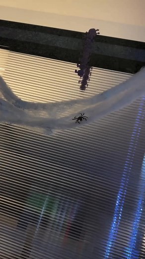 Happy Halloween! 🎃 | Black Diamond Pest Control