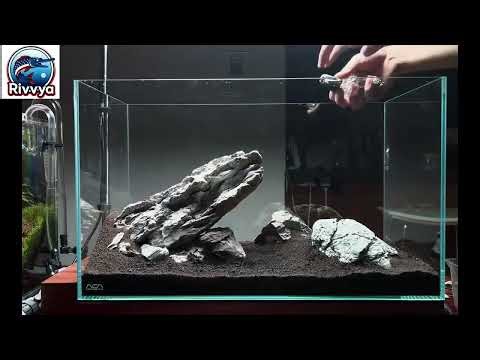 Aquascape: Turn Your Tank Into Artparadise! Easy aquascaping with Rivvya.