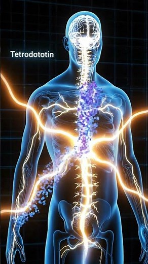 3 Minutes to Die 🐙☠️