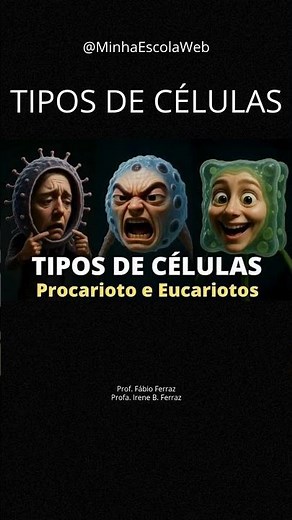 Cell Types