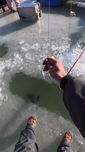 Lucky fish hooked up in fishing float setting time.#winterspecial #winterfishing