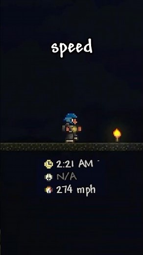 Max Speed in Terraria is INSANE #terraria #shorts