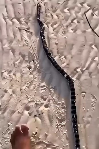 Create Moon, Light, Fog & Stars Using Brush Tool in Photoshop | Magical Effect Tutorial #shorts