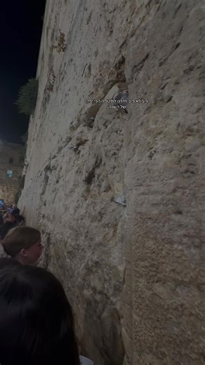 התקופה הכי יפה של השנה: סליחות וחלומות