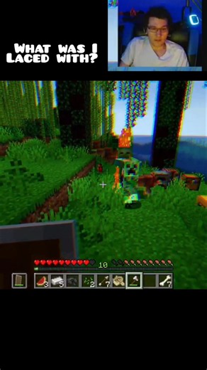 MY VISION! Minecraft the Broken Script Mod #thebrokenscript #minecraft #creeper