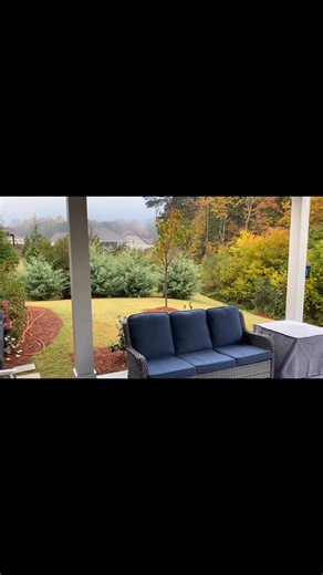 Take a look at how beautiful these Carolina Sapphire Cypress are with this beautiful Autumn backdrop. This video was shared by a follower all the way from Alabama. We love it when a tree is so hardy it can be grown anywhere from Washington State all the way to Alabama! Do you know your garden zone? Check the comments for a helpful photo that helps you chose the plants best suited for your environment! | Cline's Nursery
