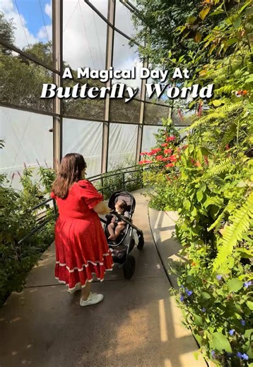 Exploring Butterfly World: South Florida's Magical Haven