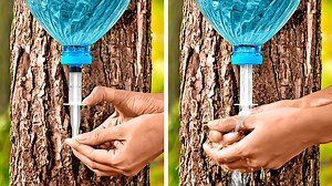 Trucos útiles y simples para cualquier excursión: | Ideas en 5 minutos