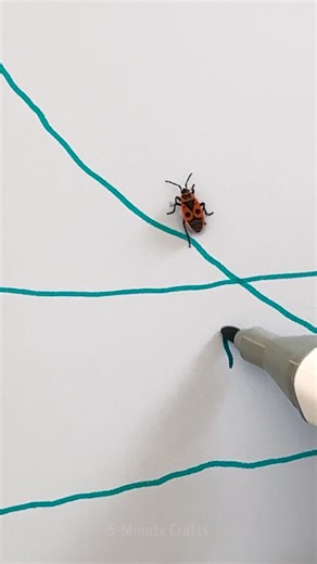 725K views · 1.2K reactions | When Nature Becomes the Artist | 5-Minute Crafts | Facebook