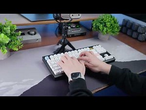 Keyboard Sound Test: Leo80 TKL with Turtle Silent Switches