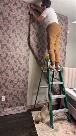 Transform your walls with Limitless Walls!