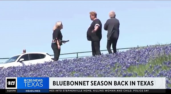 Bluebonnet season is back in Texas