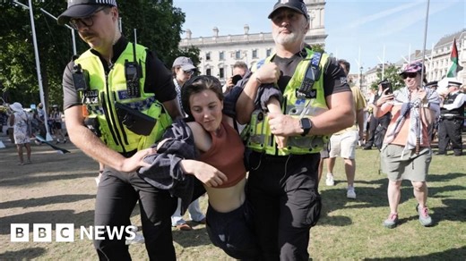 Palestine Action protesters arrested by police at London demo