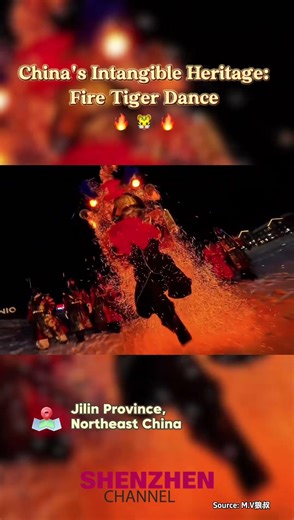 China's Intangible Heritage: Fire Tiger Dance 🔥 🐯 🔥