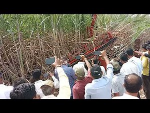 hanje sugarcane harvestor