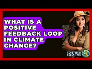 What Is A Positive Feedback Loop In Climate Change? - Ecosystem Essentials