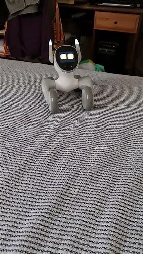 Loona le robot petbot de compagnie pour la maison et elle comprend le Français